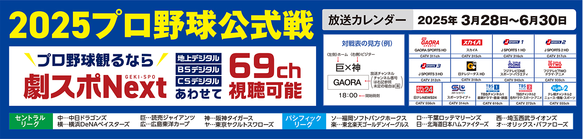 2025プロ野球公式戦