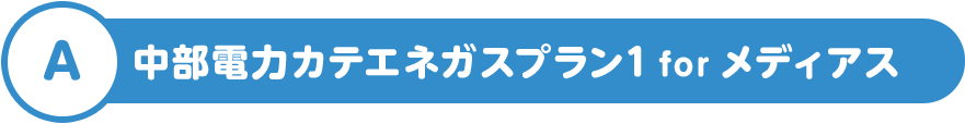 A 中部電力カテエネガスプラン1 for メディアス