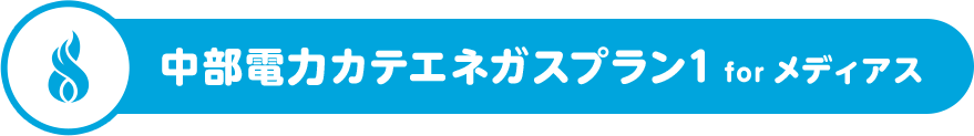 中部電力カテエネガスプラン1 for メディアス