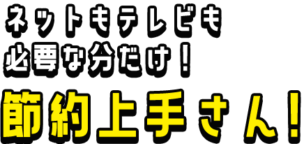 ネットもテレビも必要な分だけ！節約上手さん