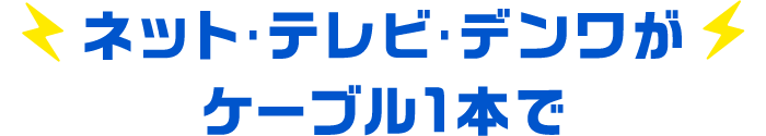 ネット･テレビ･デンワが光ケーブル1本で