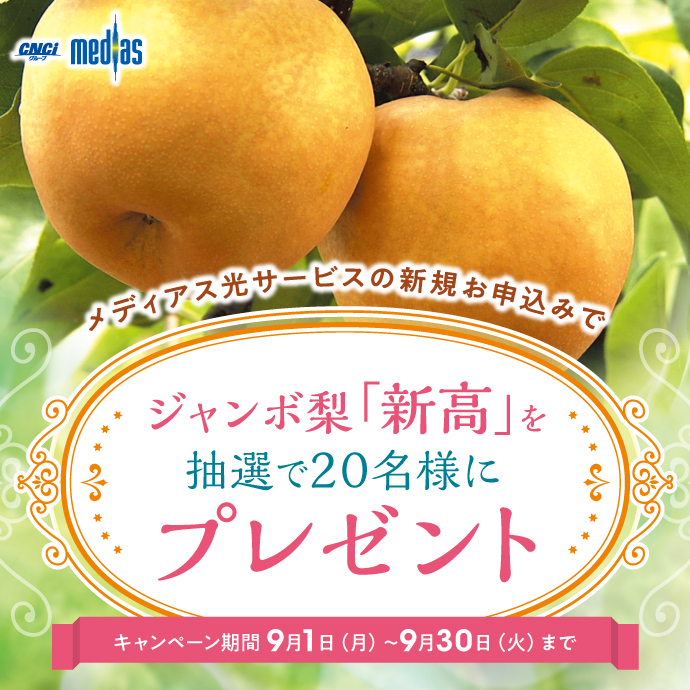 秋の味覚をプレゼント!「梨の王様・新高」ジャンボ梨キャンペーン開催!