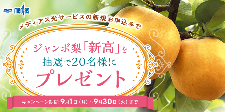 お年玉キャンペーン 人気家電が当たる