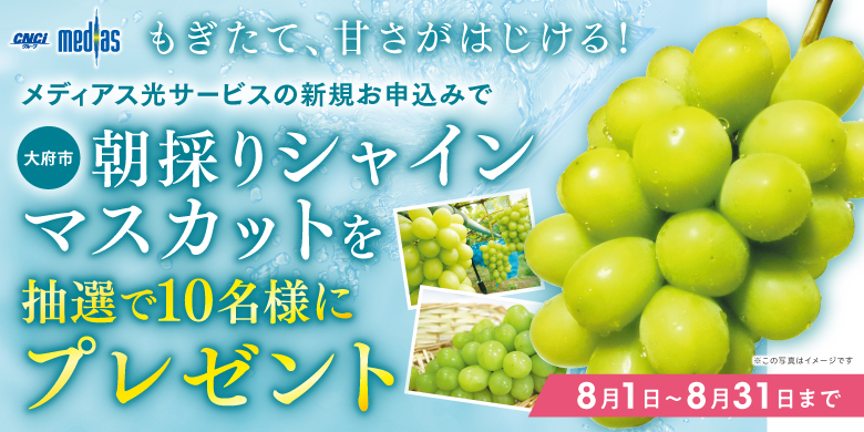 お年玉キャンペーン 人気家電が当たる