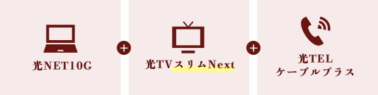 セットでお得なパックプラン(光10G トリプルギガパック)について説明している画像2枚目