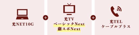 セットでお得なパックプラン(光10G トリプルギガパック)について説明している画像3枚目