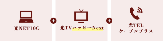 光NET10G+光TVハッピーNext+光TELケーブルプラス