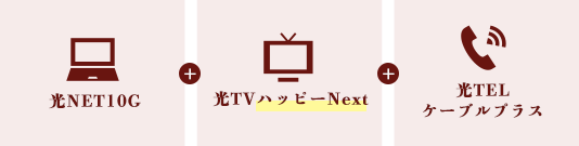 セットでお得なパックプラン(光10G トリプルギガパック)について説明している画像4枚目
