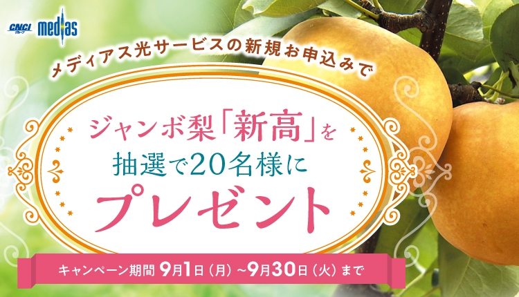 新規お申込みキャンペーン　「ジャンボ梨（新高）」プレゼント！