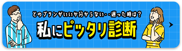 私にピッタリ診断 どのプランがいいか分からない･･そんなあなたにピッタリのプランをご案内します